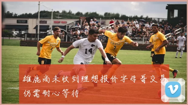 雄鹿尚未收到理想报价字母哥交易仍需耐心等待