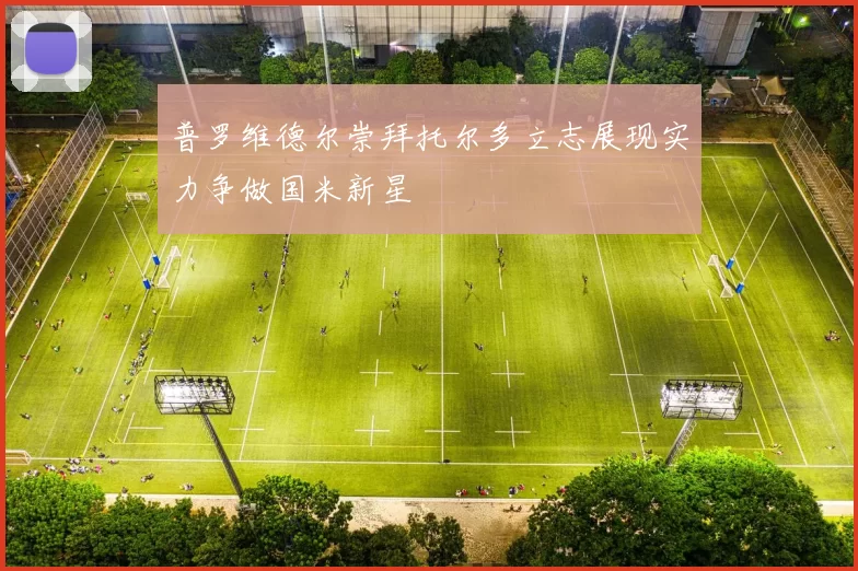 普罗维德尔崇拜托尔多立志展现实力争做国米新星