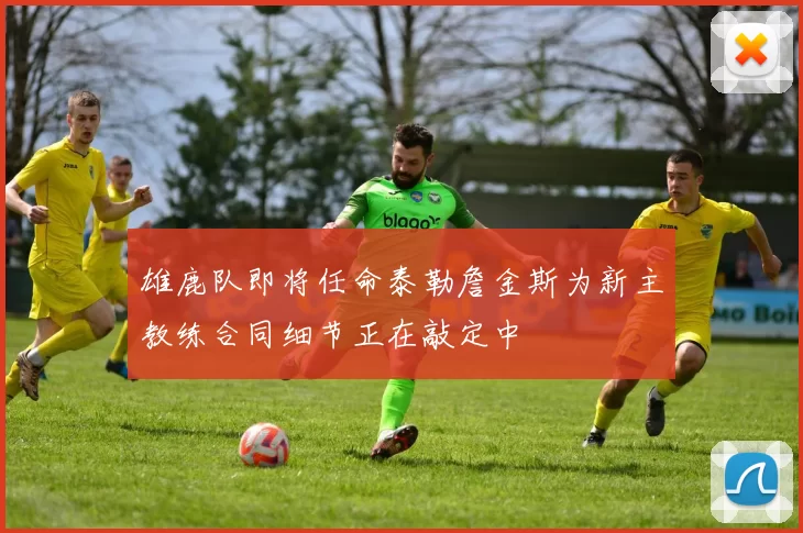 雄鹿队即将任命泰勒詹金斯为新主教练合同细节正在敲定中