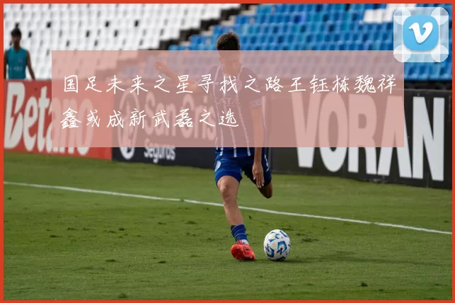 国足未来之星寻找之路王钰栋魏祥鑫或成新武磊之选